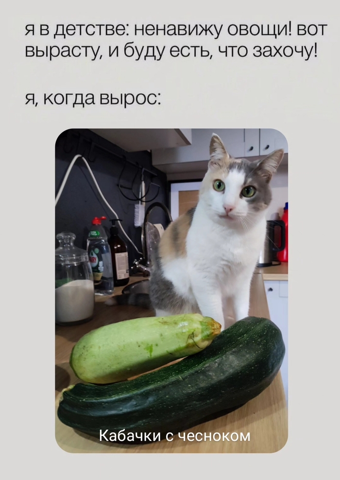 ����� ��������