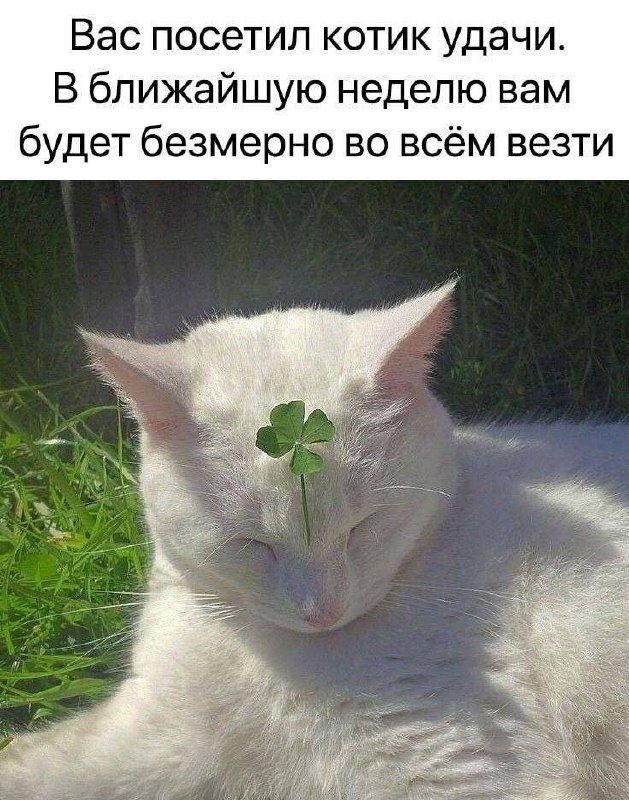 Удачи Вам!