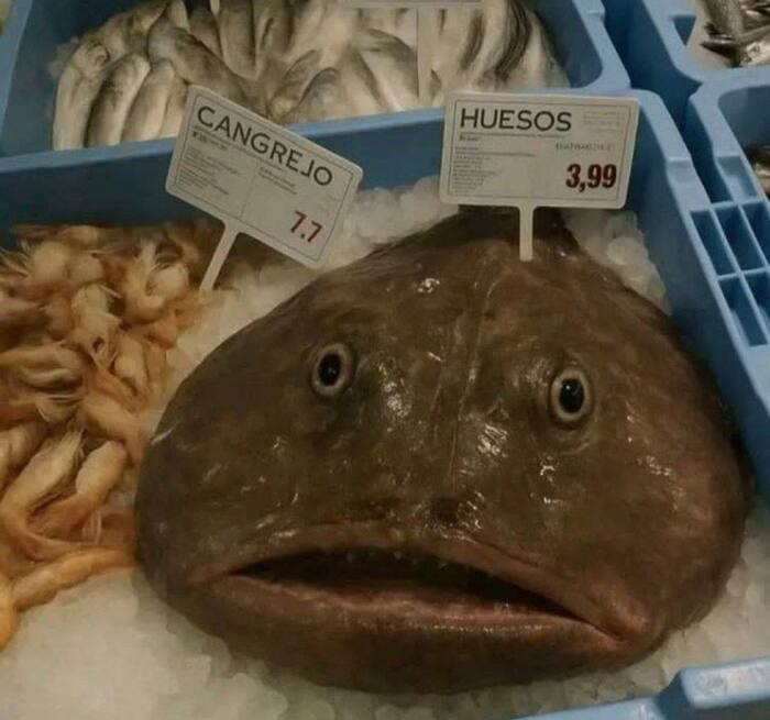 Простите, не сдержалась😁