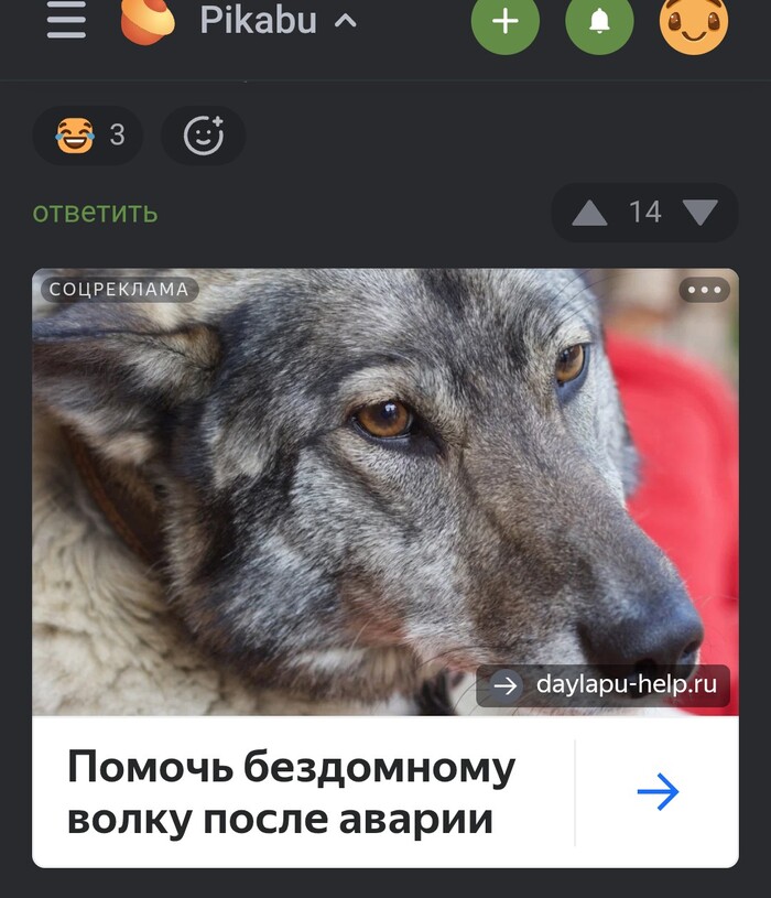 Не знал, что "дикий" = "бездомный"...