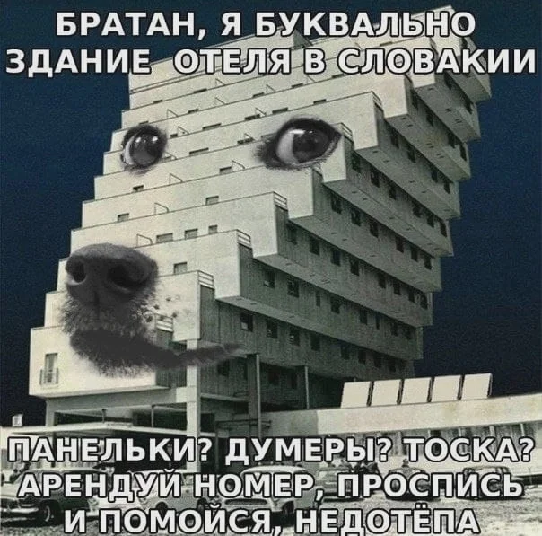 Очередная (мем) подборка - Юмор, Мемы