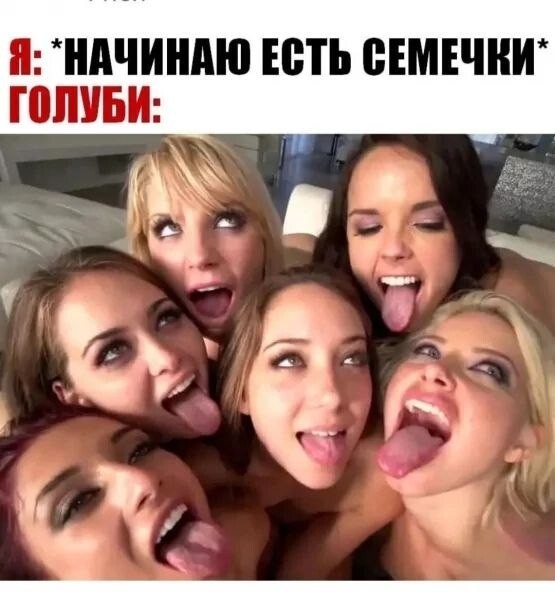 Птички)