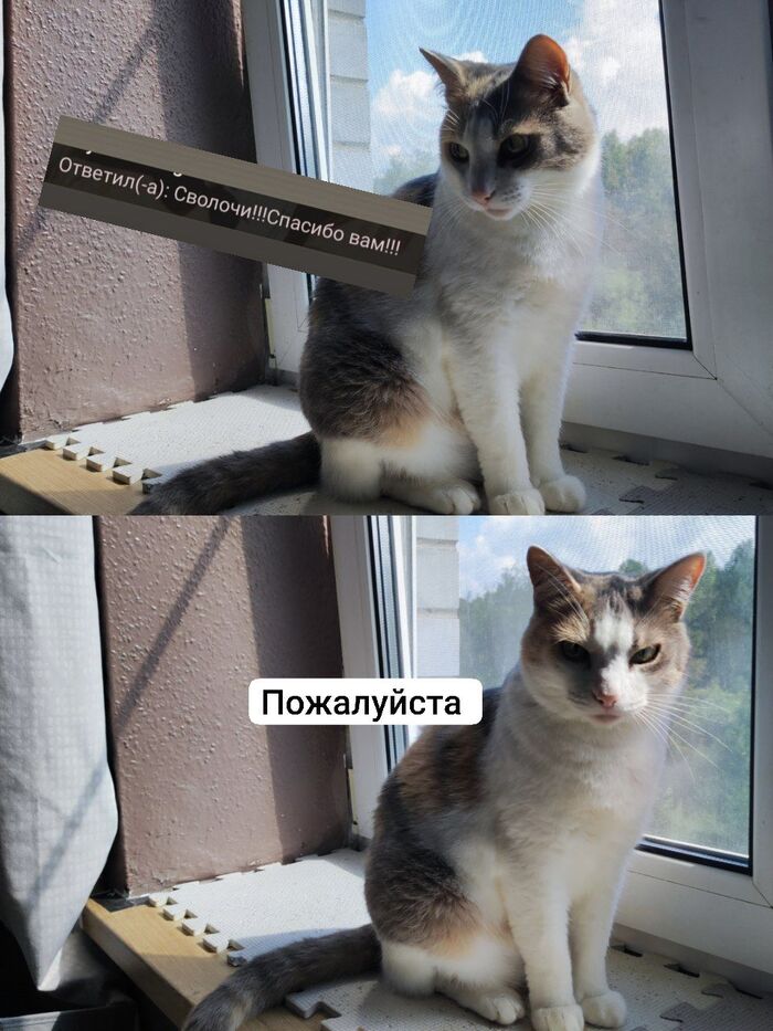 Забавно вышло