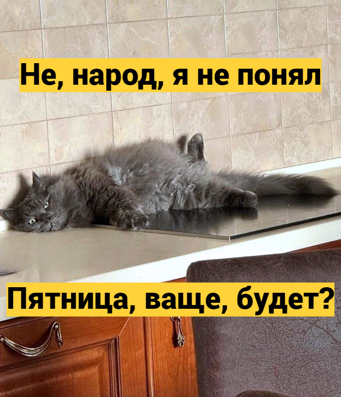 Я не понял