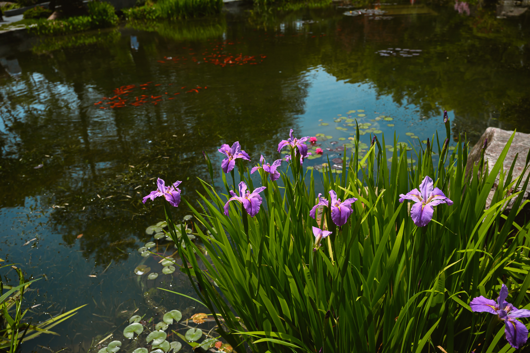 Garden city - Series Travel notes China, My, Travels, China, Asia, Around the world, Longpost