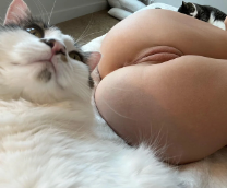 ����� � ������