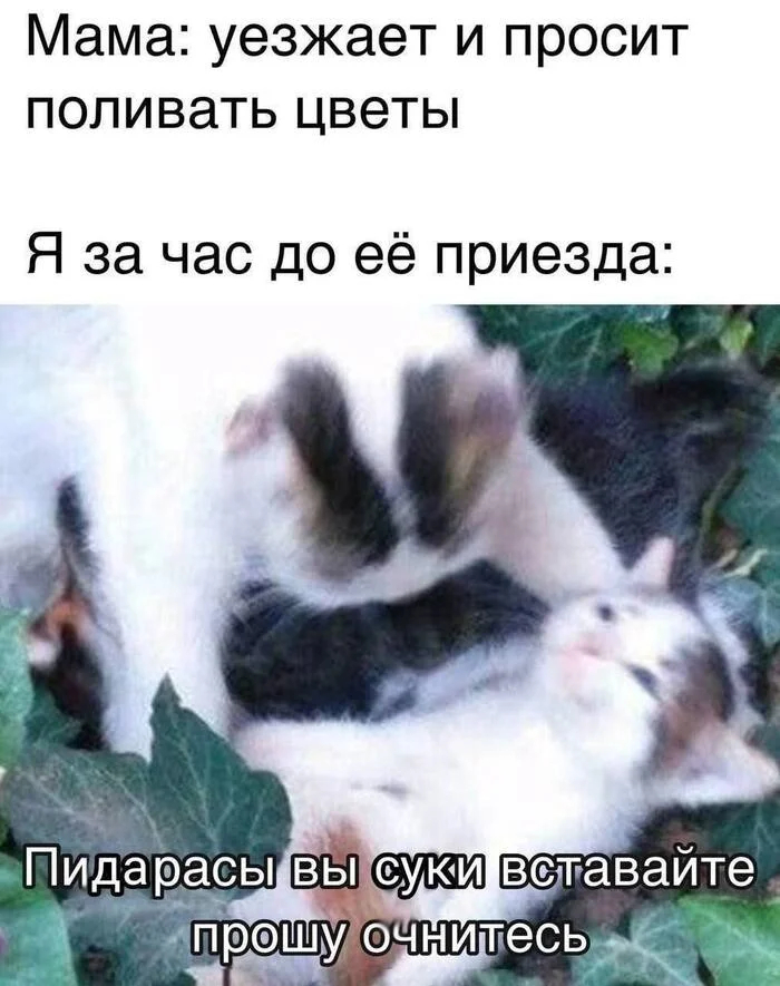 Самое страшное