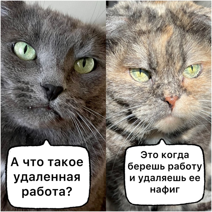 А что, разве не так?