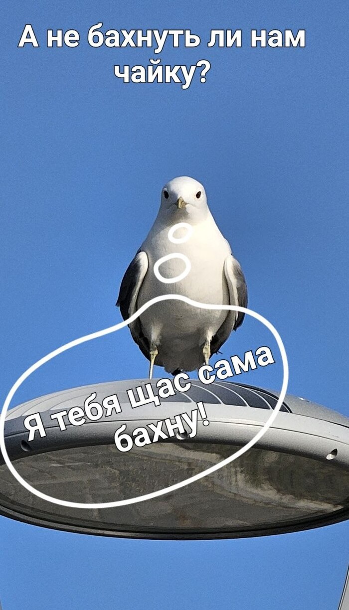 Чайку?