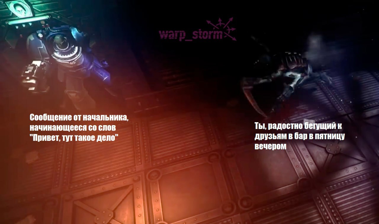 Category B - Series Category B, Wh humor, Warhammer 40k, Memes, Short videos, Vertical video, Video, Longpost