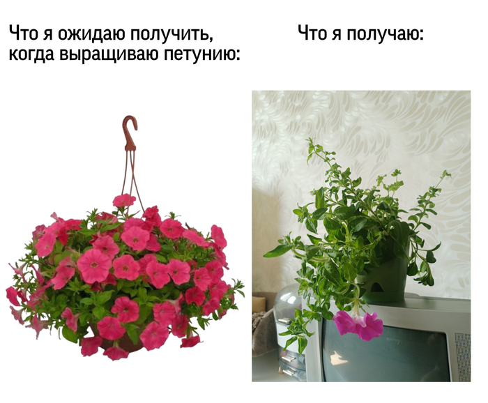 �������� � ���������� ����������� ���������