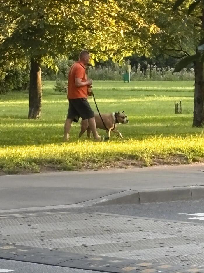 Собаковод