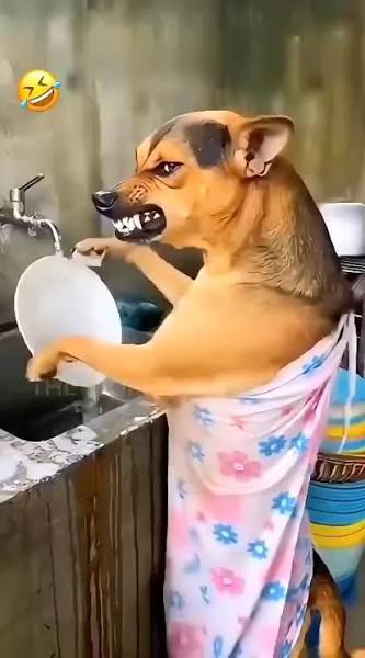 Куда делись мои посты?!!!