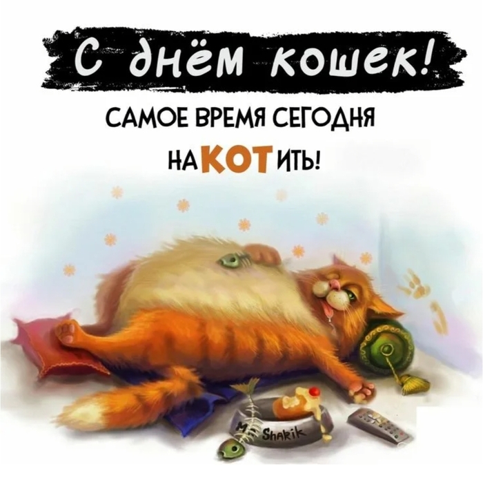 С Днём кошек!