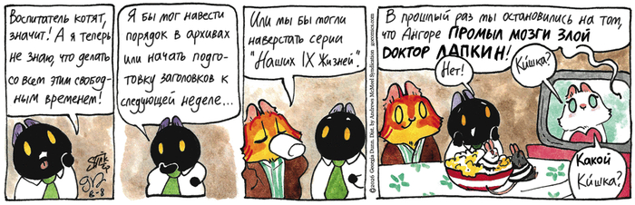 Котейкины Новости от 08.08.2026