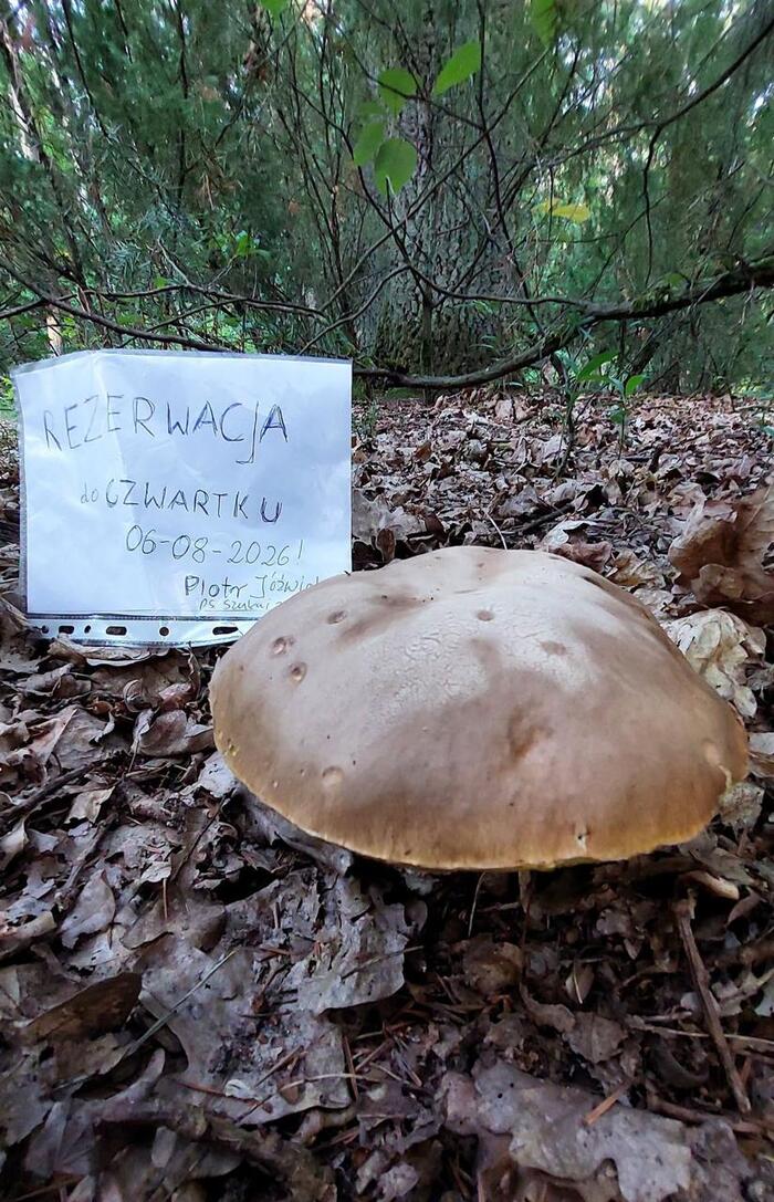 Забронировано