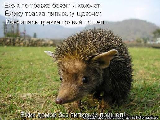 Ответ на пост «Щекотно»