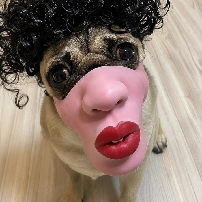 ��� ����� ������ ���������, ��� ������� � �����?
