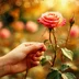 Rosethorn