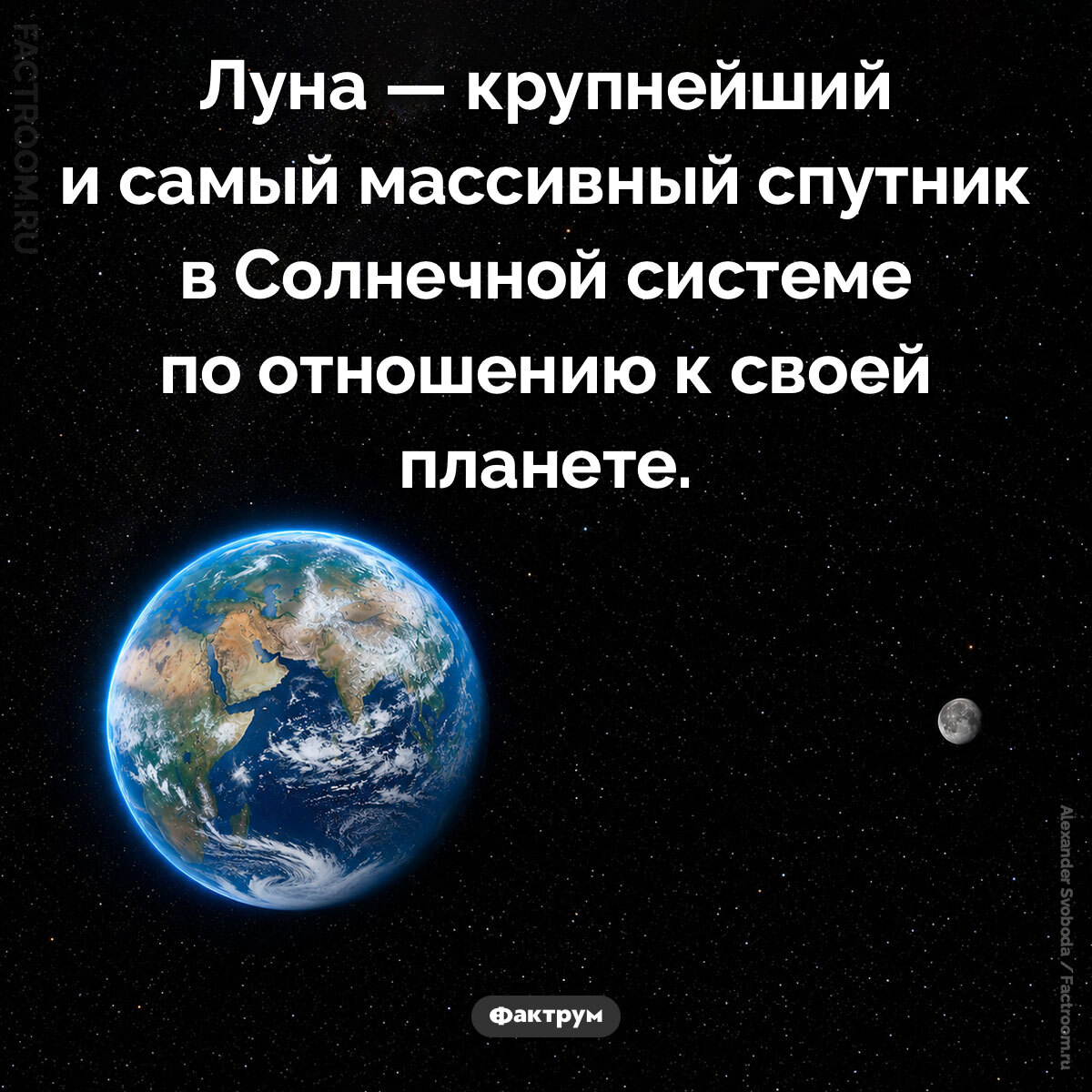 Interesting Facts #276 - My, Informative, Facts, A selection, Picture with text, Factrum, Want to know everything, Amazing