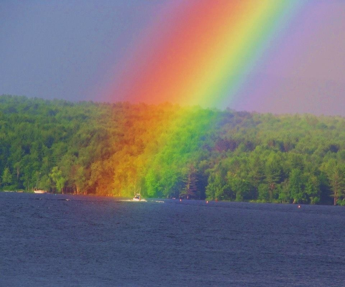 Rainbow