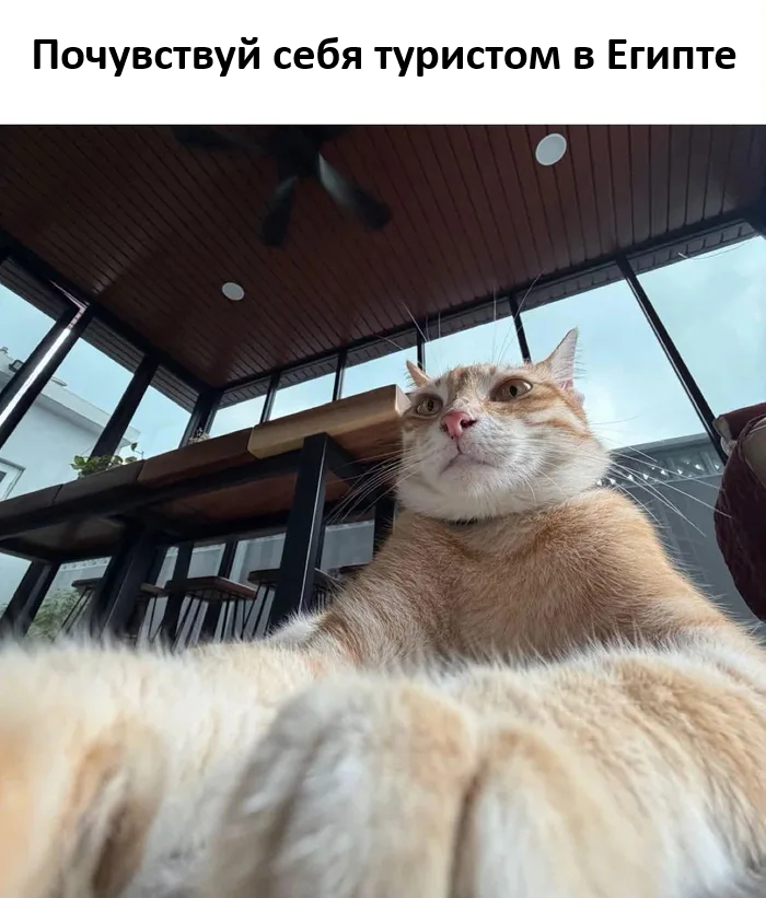 ���������� ��������
