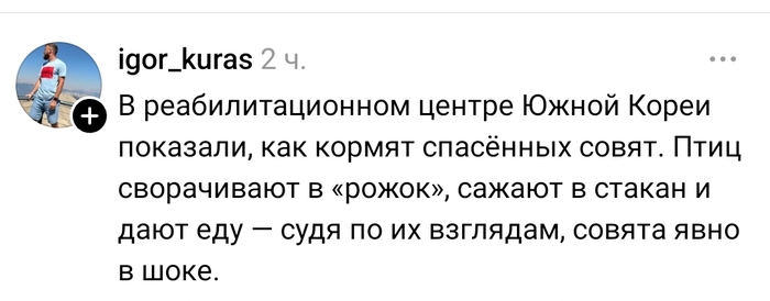 Совятки в афиге
