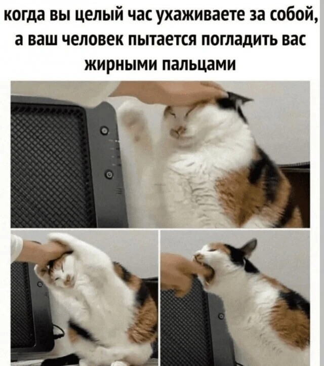 Потому что нельзя быть на свете красииииивой такоооой~~~