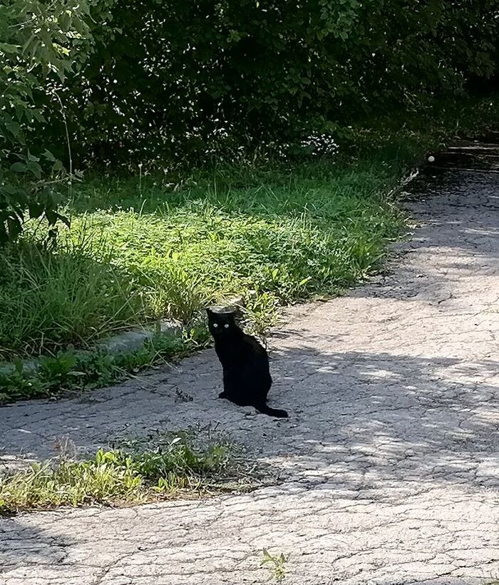 Котэ