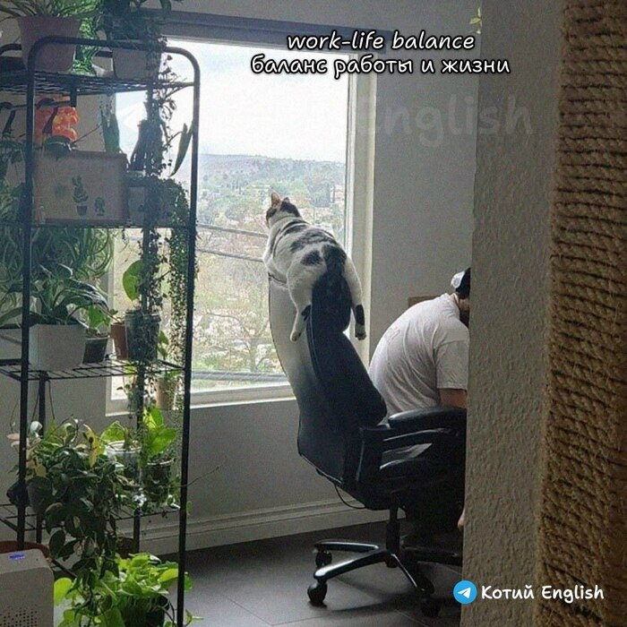 Мы работаем