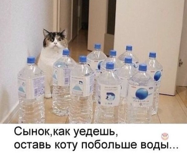 ��-��, �������