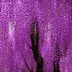 north.wisteria