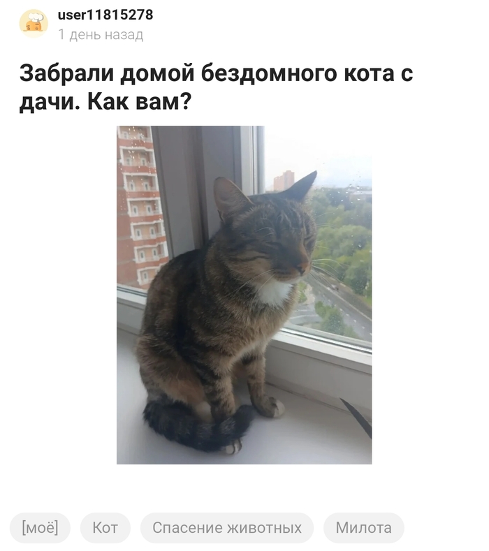 Твое лицо, когда удачно обзавелся парочкой кожаных рабов: