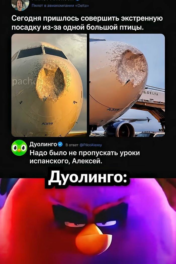 Уроки в Duolingo нельзя пропускать!