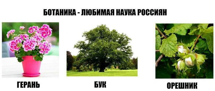 Душевно