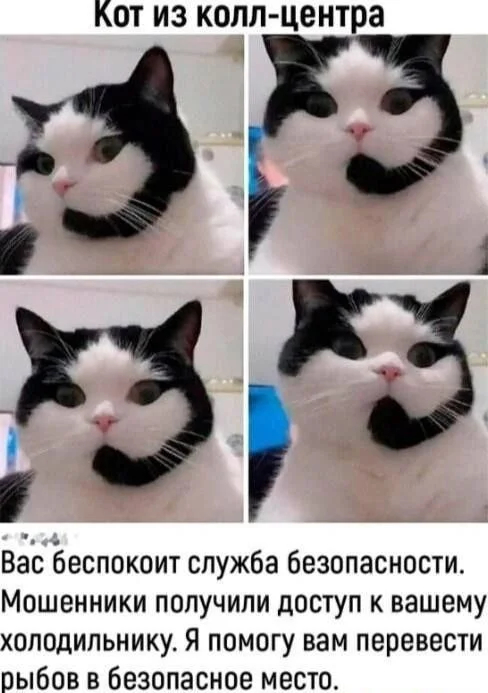 ��� �� ����-������