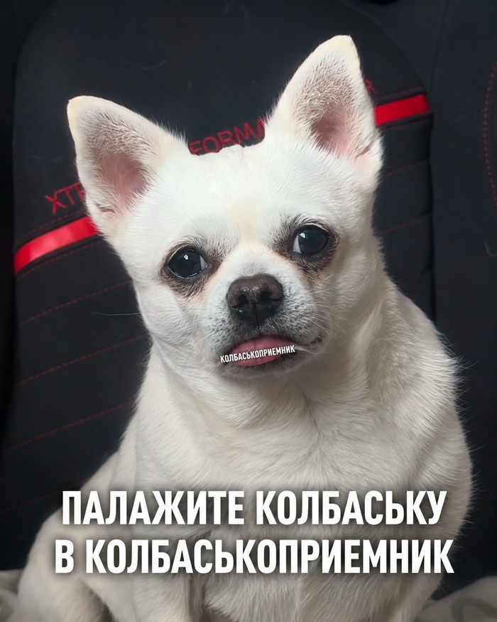 ��� �� ����