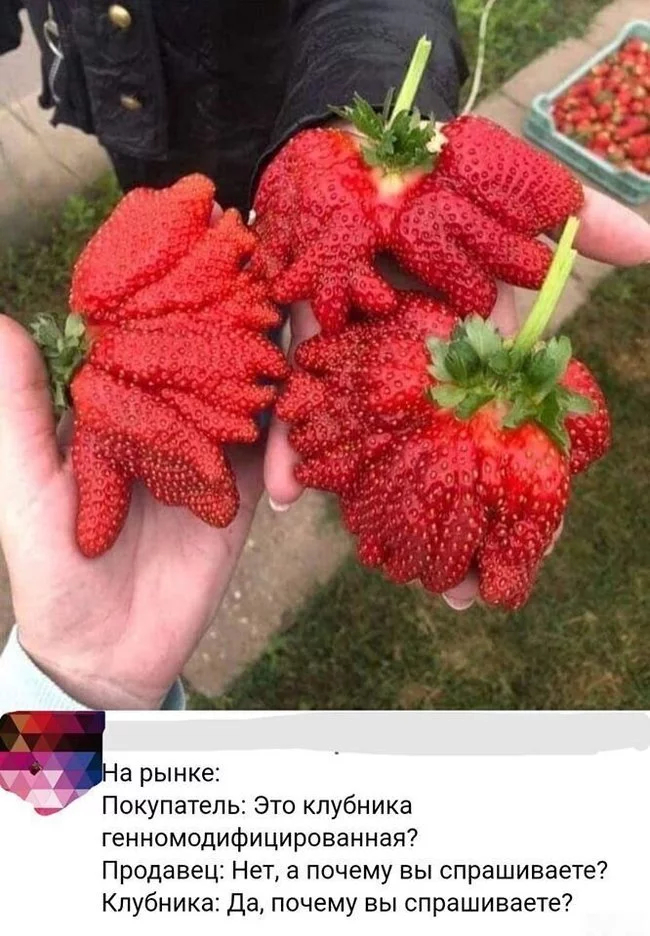 Да, почему