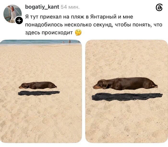 ��� ���������� ?