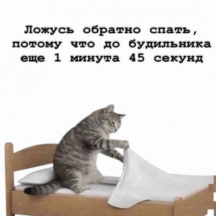 Самые сладкие 1 минута 45 секунд сна в жизни