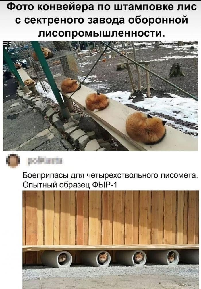 Лисоружие