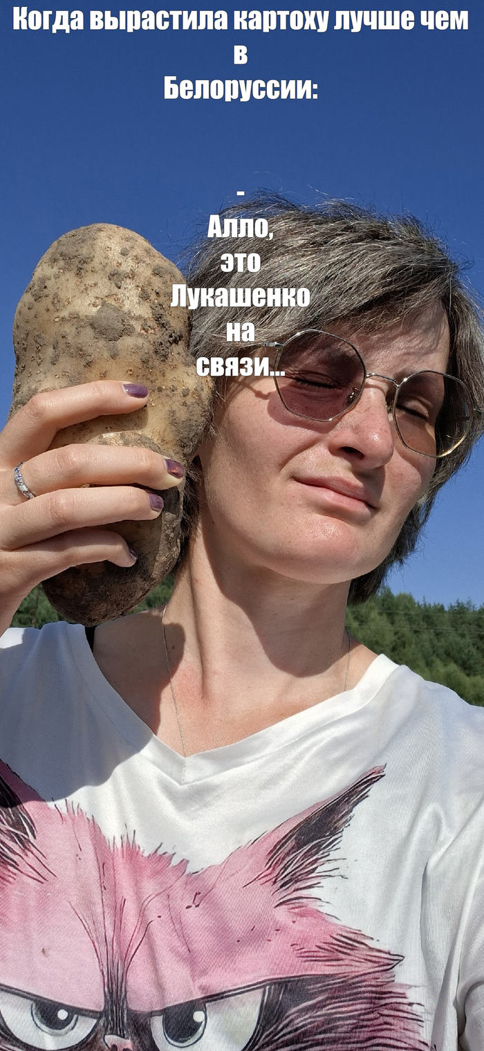 Ответ на пост «Криволожкособрание»
