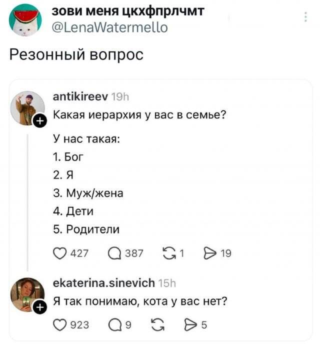 Кошатники, ваш выход ))