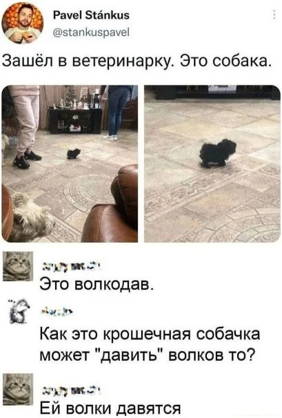 Волкодав