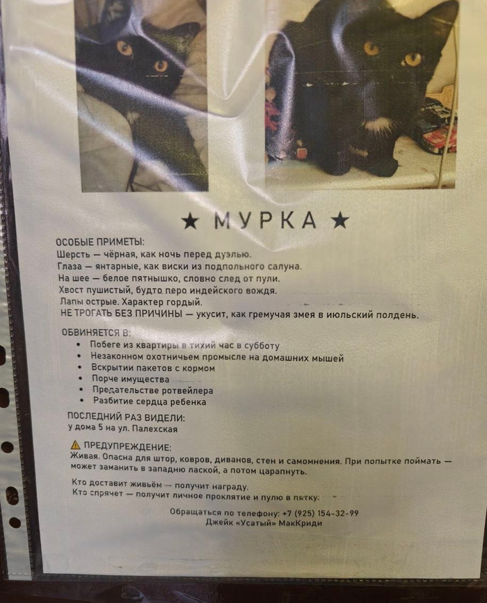 Телефон оставил, так как кошку реально ищут. Москва.