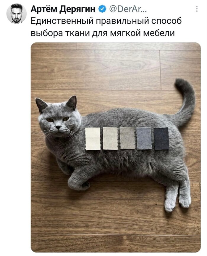 С одеждой тоже должно сработать