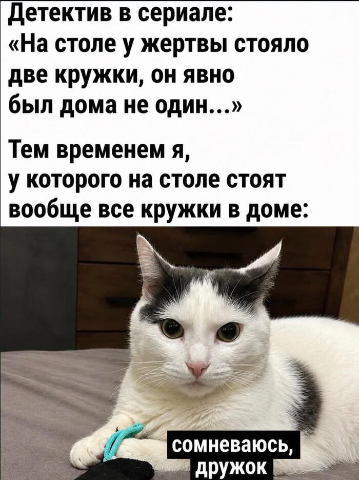 � ������� ���