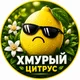 ����� ����� ������ ���� �����������