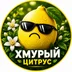 XCitrus