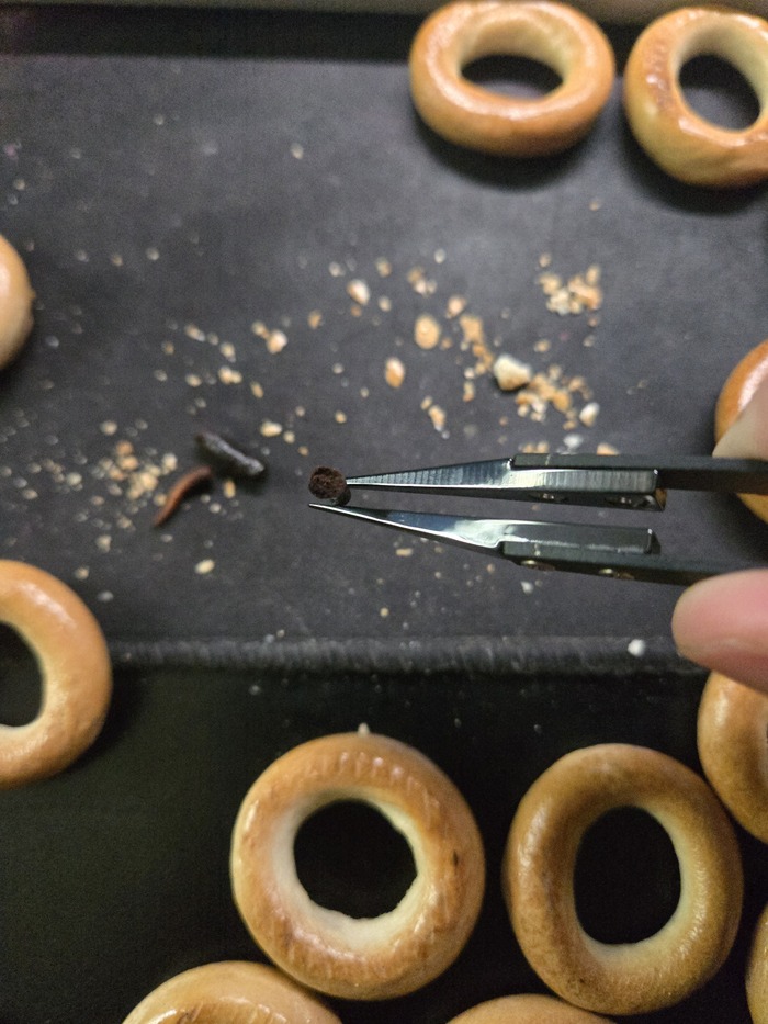 ��� ��� � �����